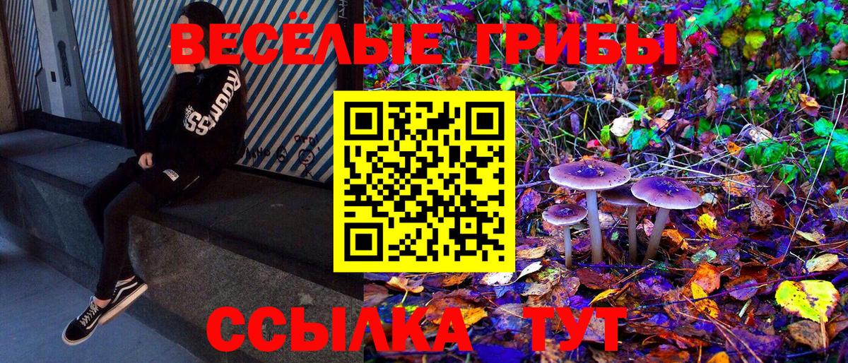 Псилоцибиновые грибы MAGIC MUSHROOMS Острогожск